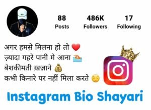 Instagram Bio Shayari