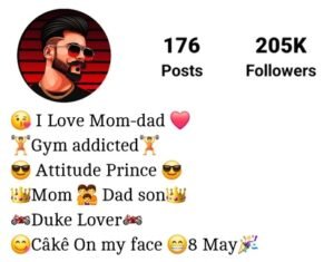 Instagram Bio Punjabi