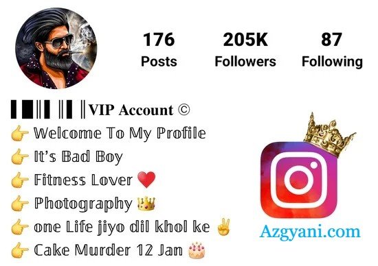 Instagram VIP Bio Stylish Font